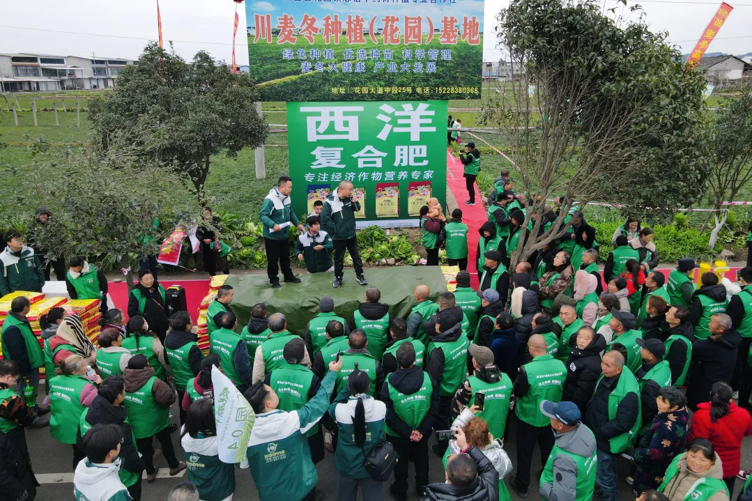 眼见为实 丰收在望 ｜西洋85°千人观摩会成功举办！