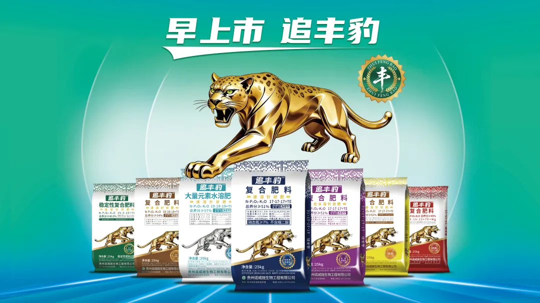 超强产品力！诺威施针状肥荣膺“年度人气产品”殊荣