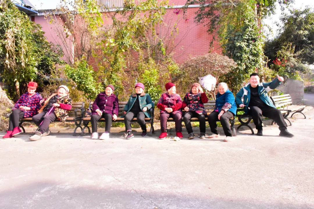 温暖翻越凝冻！西洋诺威施2025“暖冬公益行”圆满收官