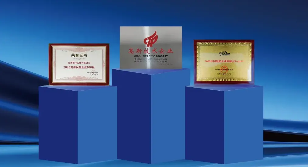 定格2025！西洋诺威施年度文化活动精彩回顾