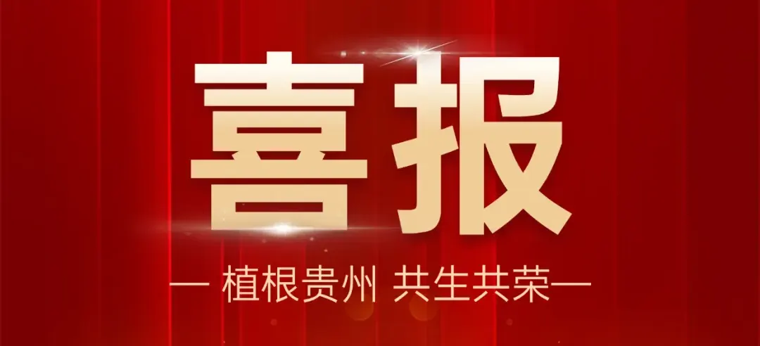 再度加冕！西洋诺威施通过贵州省“专精特新”企业复审