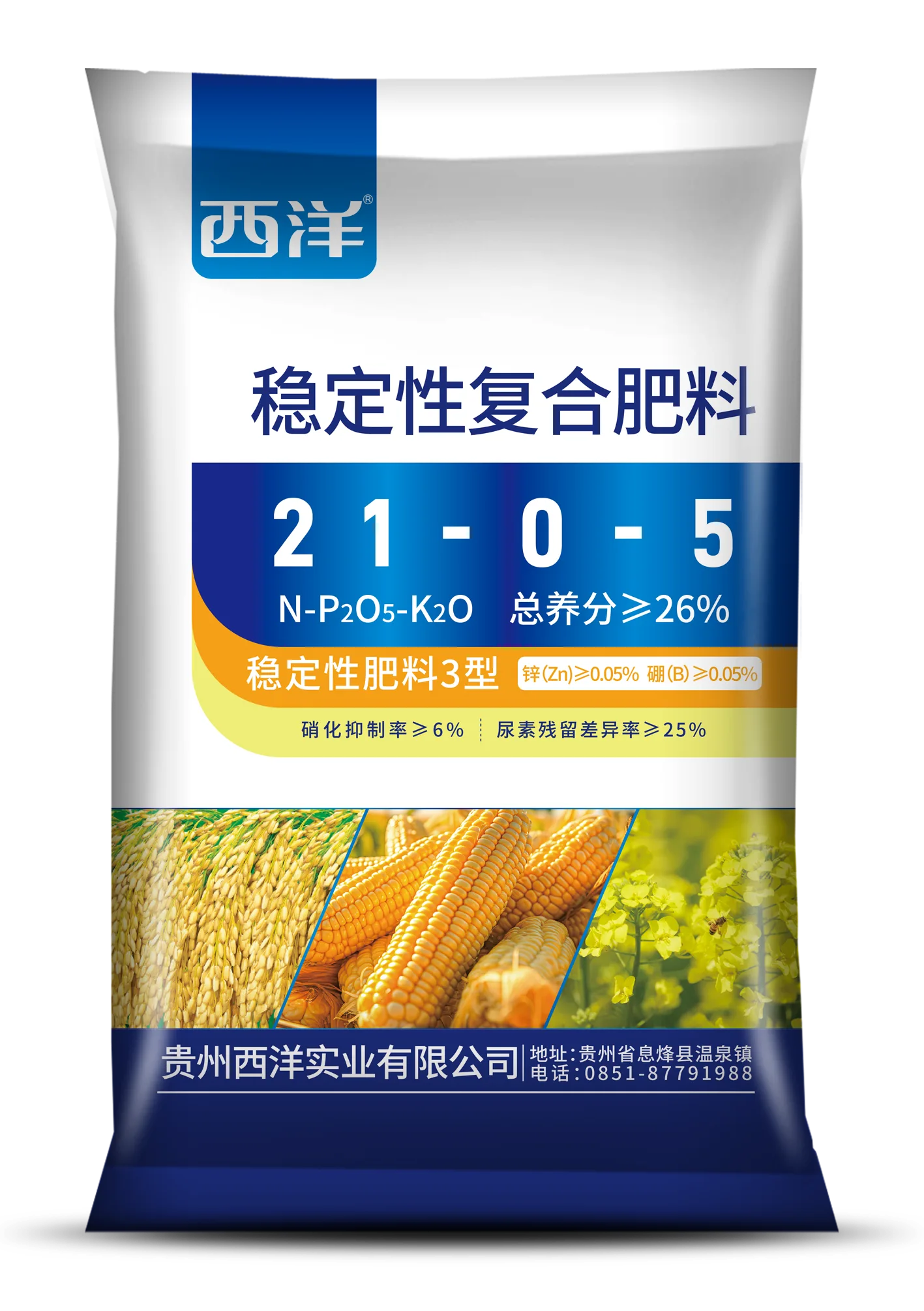 西洋（大田）21-0-5