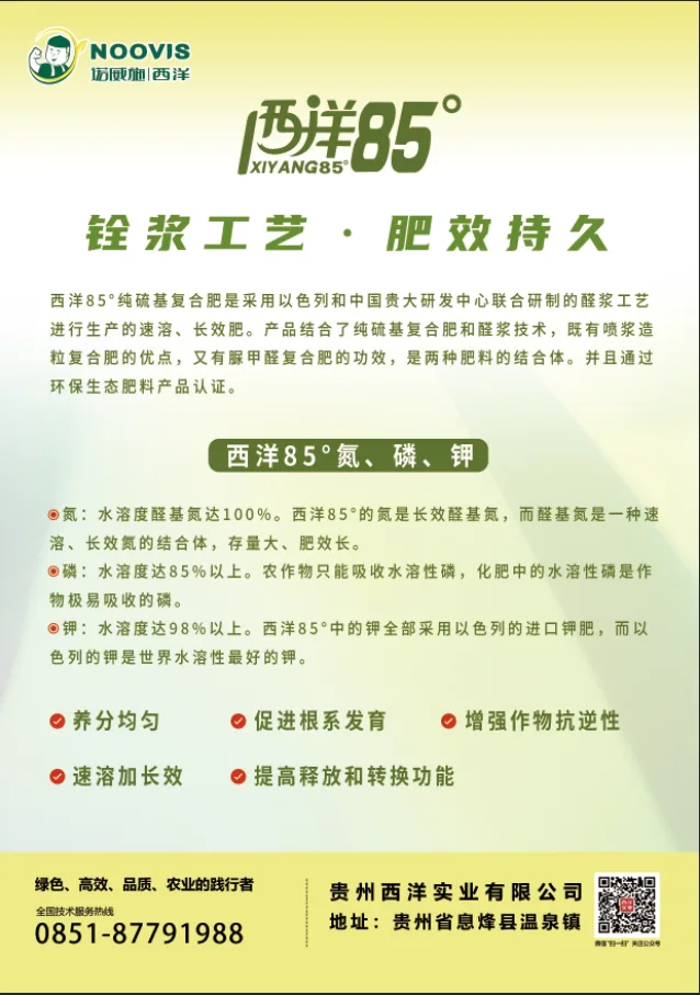 23745566.webp 图片4.webp