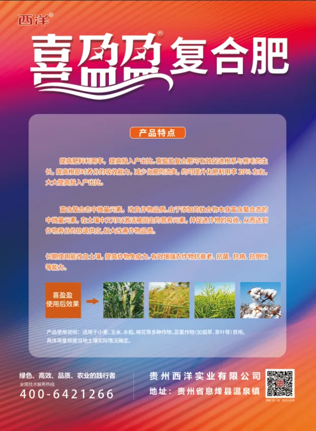 37683723.webp 喜盈盈单页-1.webp