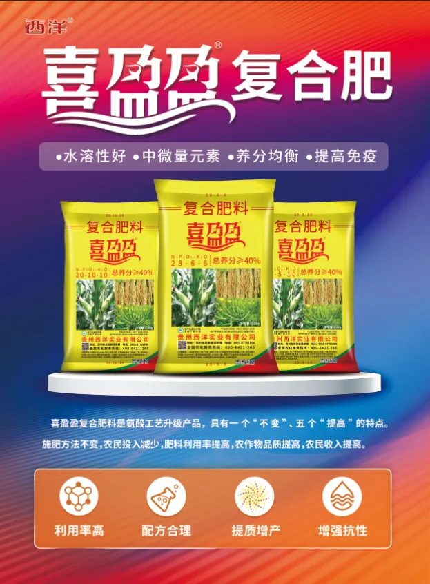 45654596.webp 喜盈盈单页.webp