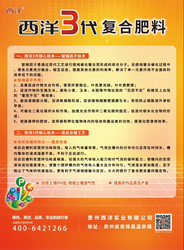 46092860.webp 西洋3代单页.webp