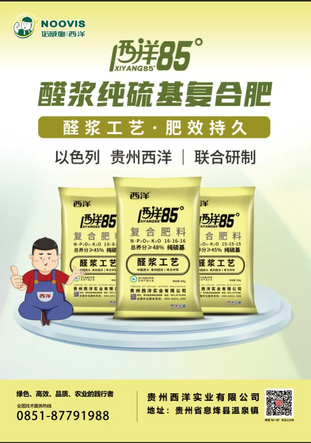 52645929.webp 图片3.webp