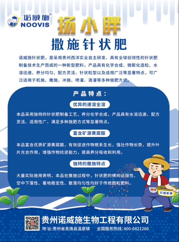 63604983.webp 洋小胖单页-背面 (2).webp