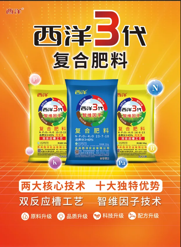 71735262.webp 西洋3代单页-1.webp