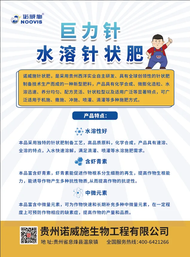 75515394.webp 聚能针-背面.webp