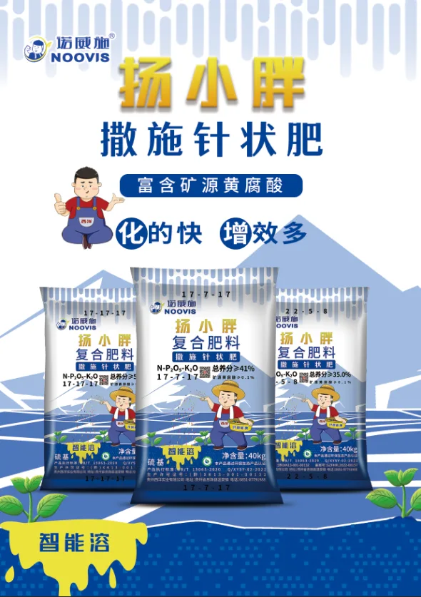 78082891.webp 洋小胖单页-正面- (2).webp