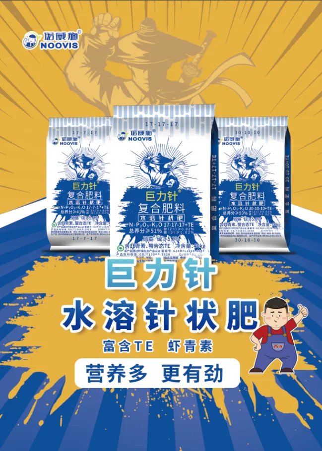 84986508.webp 聚能针-正面 (2).webp