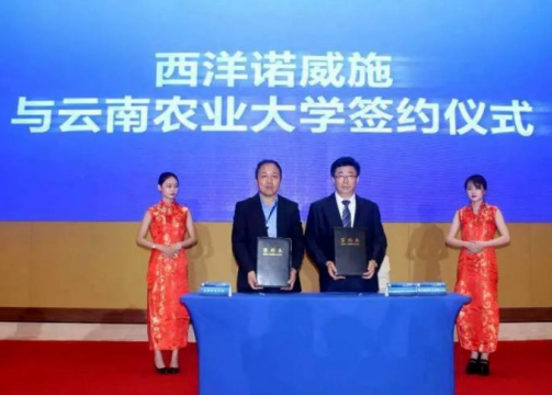 西洋诺威施携手云南农业大学深化产学研协同